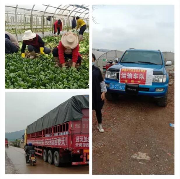 QQ截圖20200213185207 QQ截圖20200213185207