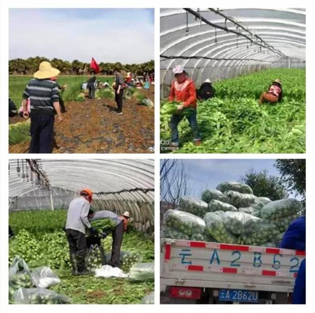 QQ截圖20200213185218 QQ截圖20200213185218