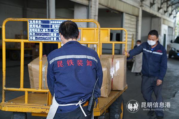 日均運輸鮮花220件，云南鐵路確?！霸苹ā背龅?。供圖 通訊員鄧瑜 陳瑞 張灝1