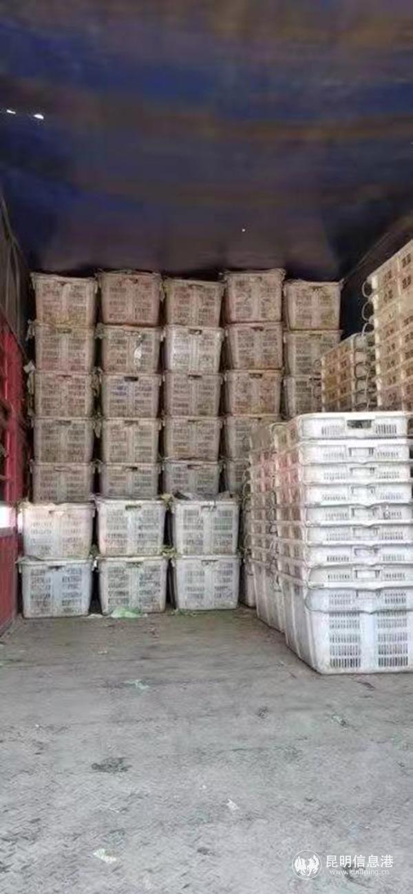 圖2：業(yè)主群自發(fā)捐贈待發(fā)放的蔬菜