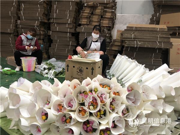 541915000380600091 541915000380600091