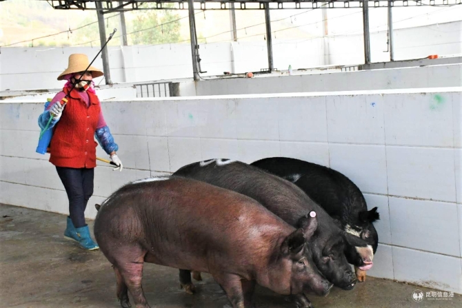 微信圖片_20200215134503 微信圖片_20200215134503