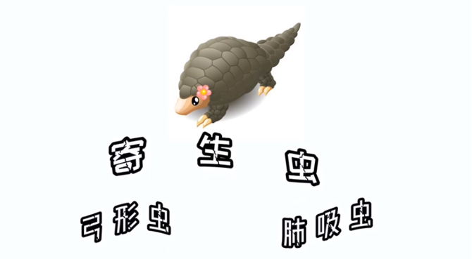 點(diǎn)擊觀看視頻