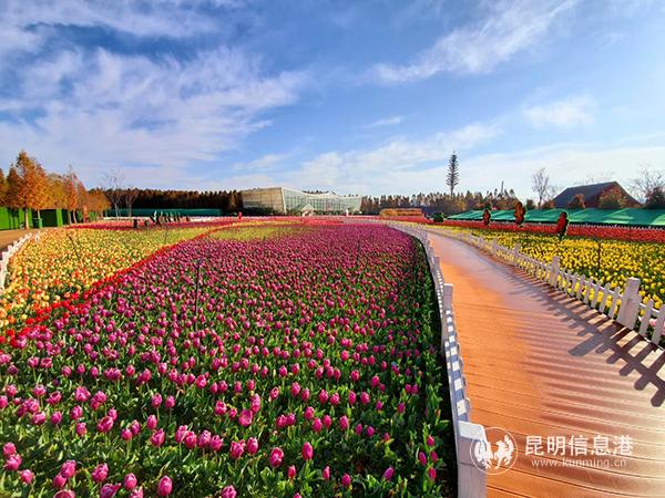 QQ圖片20200219091807 QQ圖片20200219091807