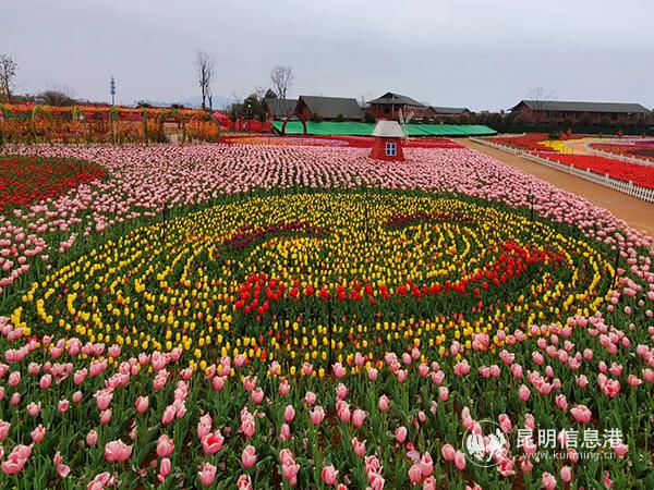 QQ圖片20200219091804 QQ圖片20200219091804