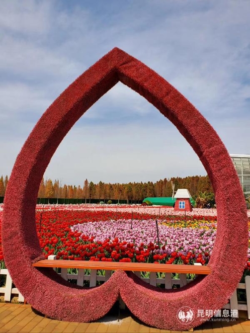 QQ圖片20200219091756 QQ圖片20200219091756