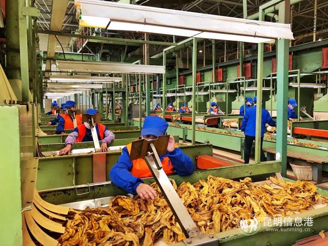 煙葉產品生產線