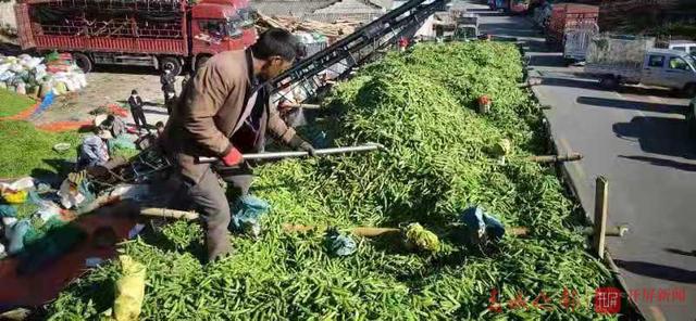 云南農(nóng)產(chǎn)品農(nóng)業(yè)