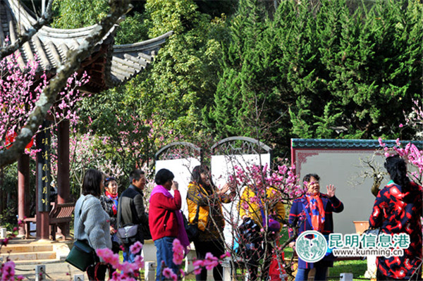 2017年黑龍?zhí)睹坊ㄒ蛠?。昆明日報記者楊艷輝攝
