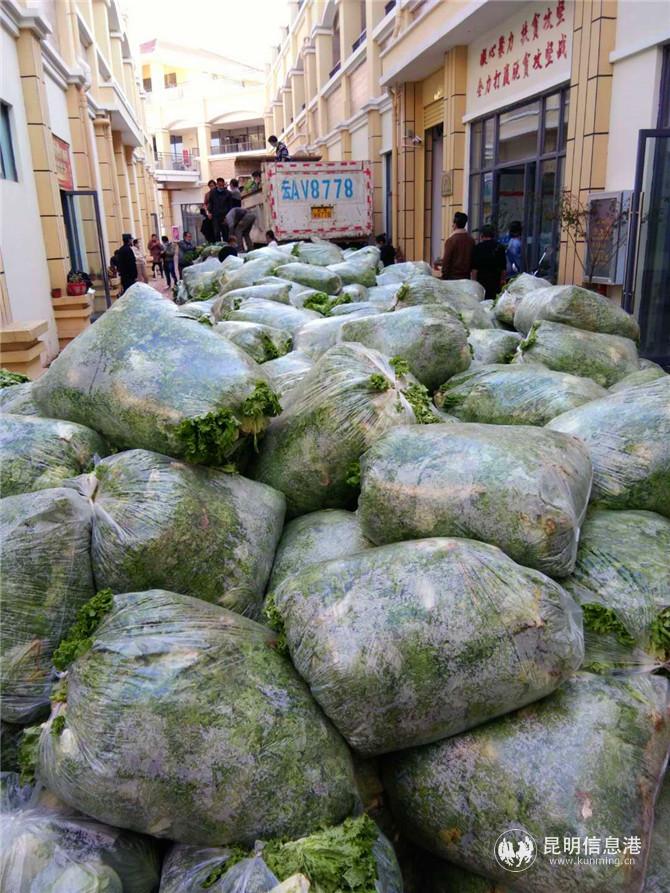 webwxgetmsgimg1 webwxgetmsgimg1