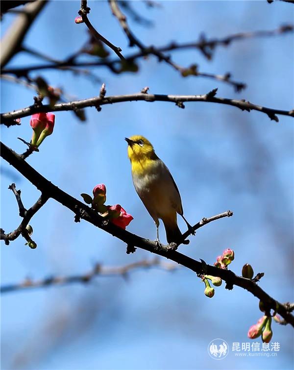 mmexport1582198859351