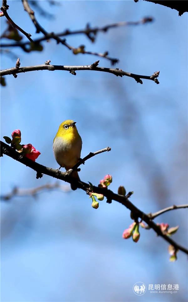 mmexport1582198865675