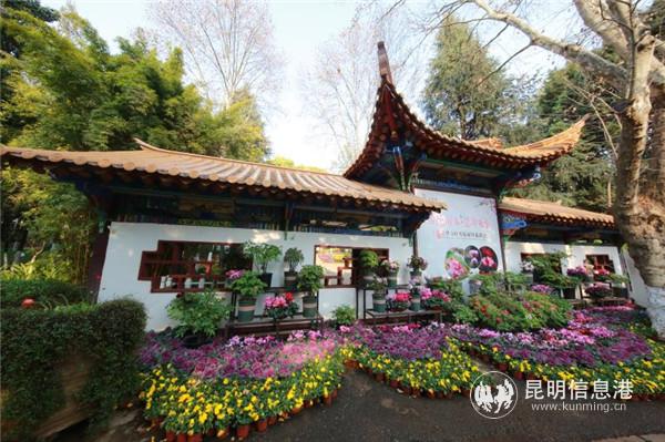 mmexport1582198894069