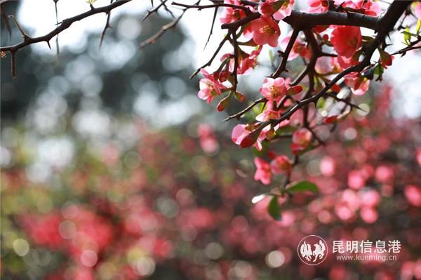 mmexport1582198914984