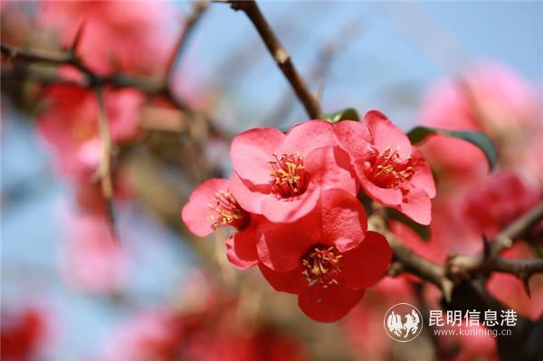 mmexport1582198929734