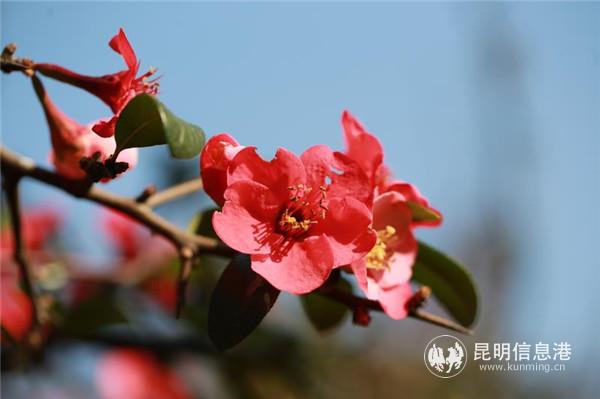 mmexport1582198932305