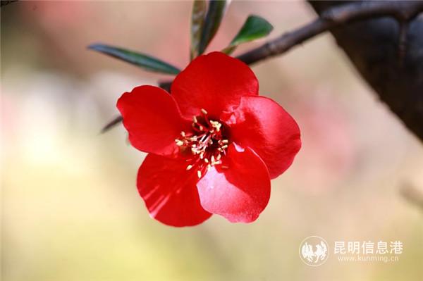 mmexport1582198945484