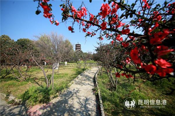 mmexport1582198973544