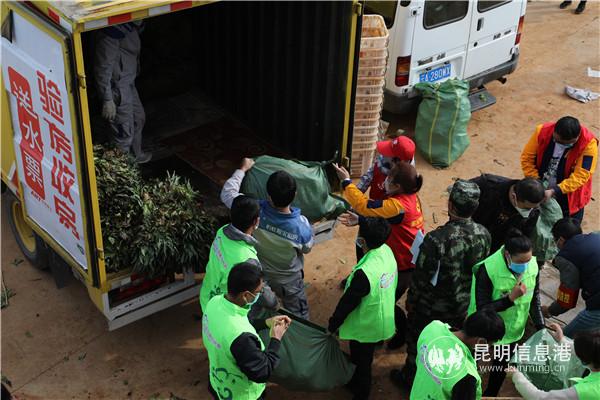 1共青團(tuán)昆明市委 供圖