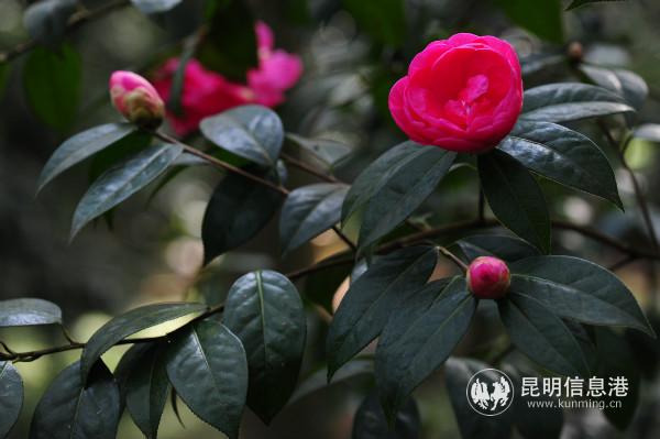 mmexport1582265160912 mmexport1582265160912