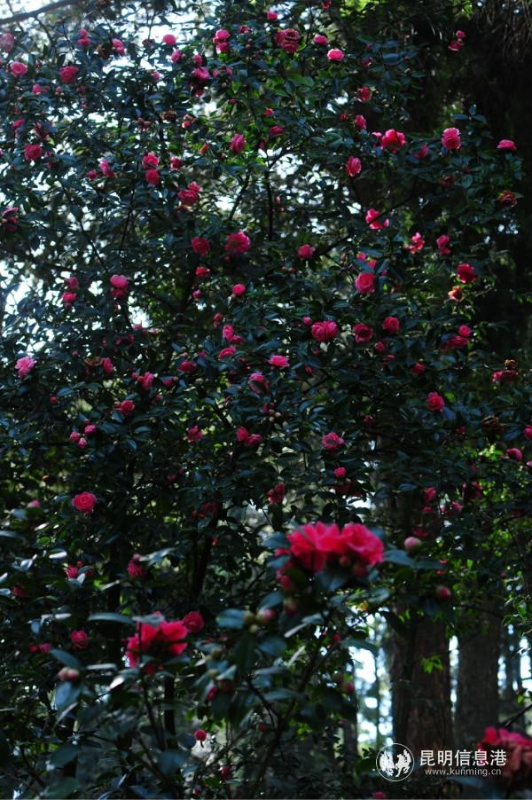 mmexport1582264619709 mmexport1582264619709