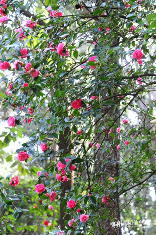 mmexport1582265168396 mmexport1582265168396