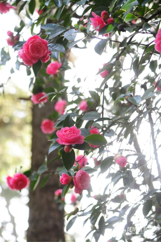 mmexport1582265170997 mmexport1582265170997