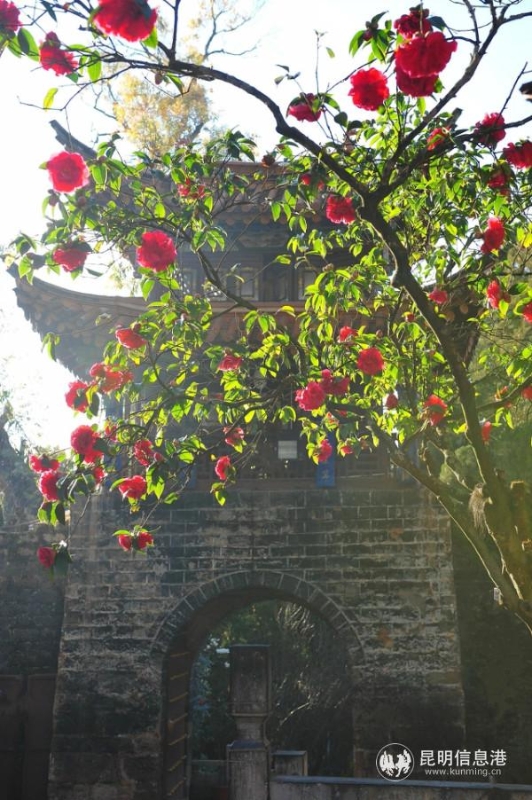 mmexport1582277669159 mmexport1582277669159