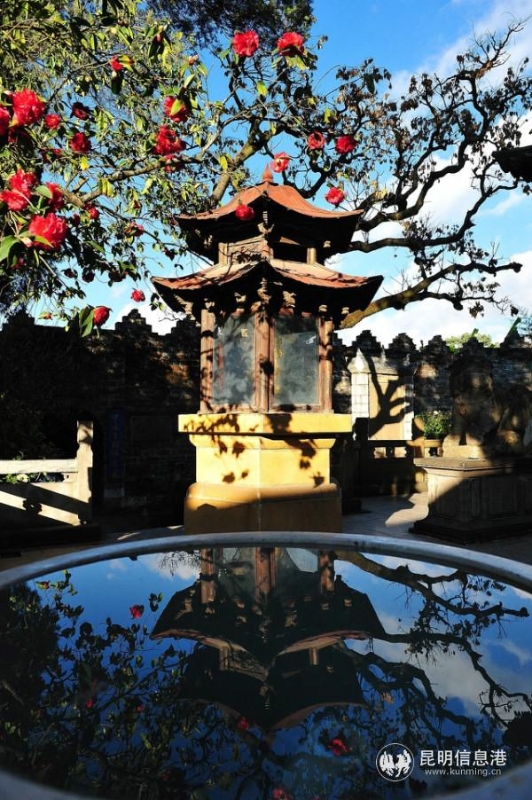 mmexport1582278030708 mmexport1582278030708