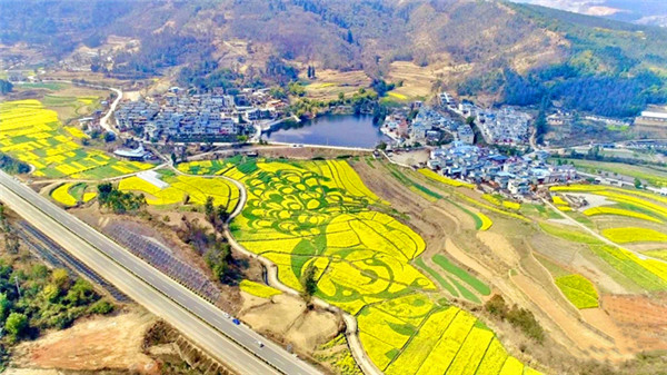 db5a869466e18ce9aab92a8ee5cc353e