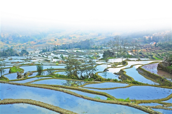 2020022305_res07_attpic_brief