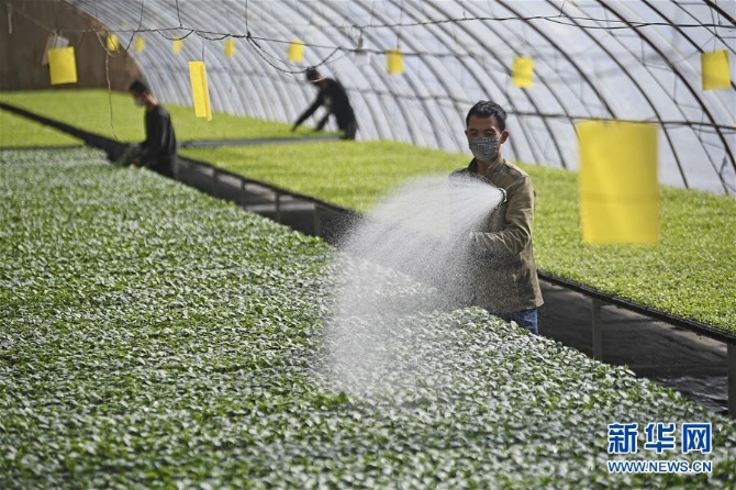 1125614582_15824442514311n 1125614582_15824442514311n