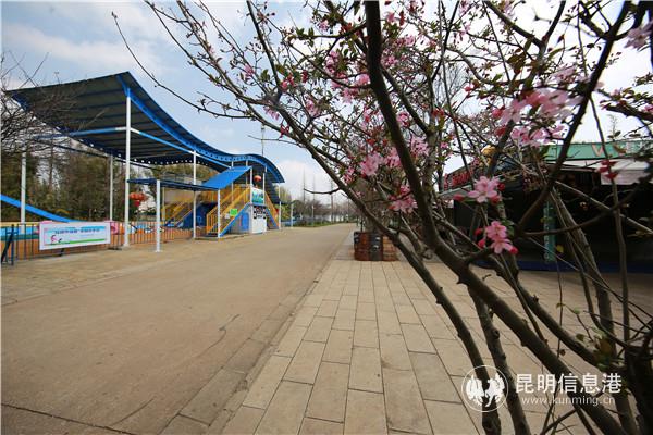 820A2051 - 副本 820A2051 - 副本