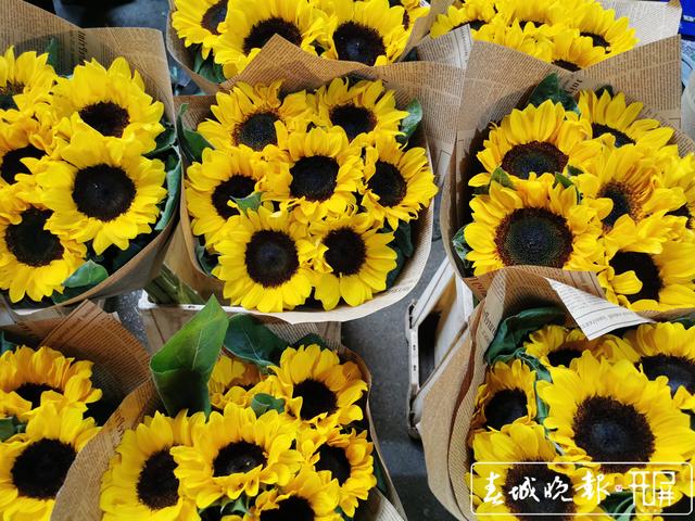 斗南花市圖片（拍于1月14日） (1).jpg