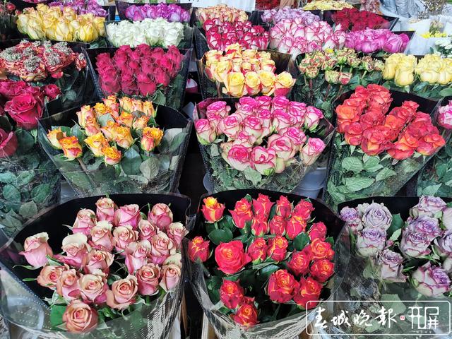 斗南花市圖片（拍于1月14日） (3).jpg