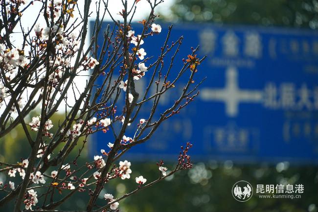 mmexport1582229420283