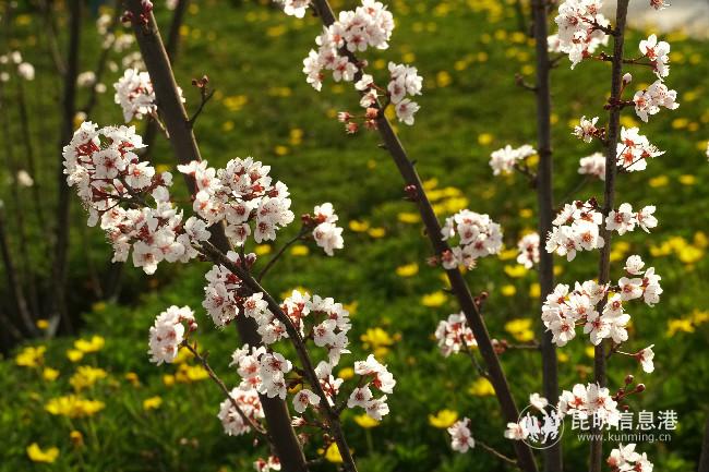 mmexport1582229557706