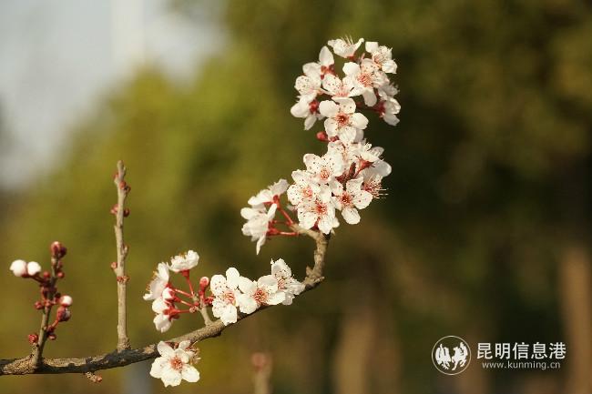 mmexport1582229570320