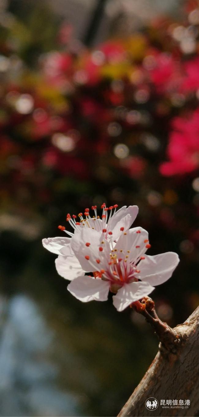 mmexport1582387393039