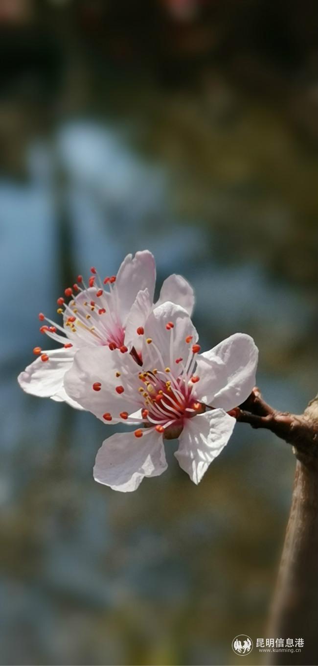 mmexport1582387408931