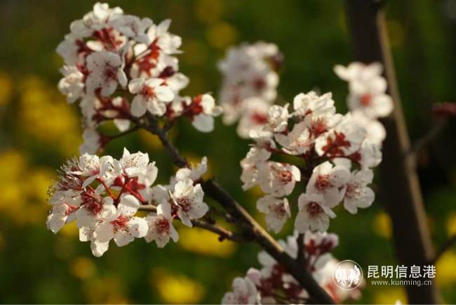 mmexport1582388094134