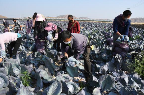 00301451487_6767b0d1