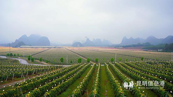 20200225_110003 20200225_110003