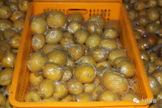 00301449102_3b8f2c4f