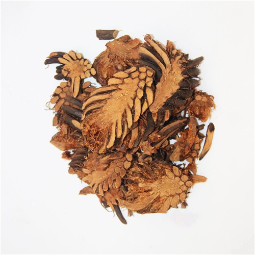 圖片5.png 圖片5.png