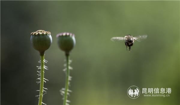 mmexport1582709821954