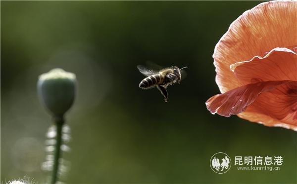 mmexport1582709826896