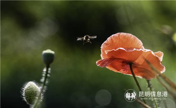 mmexport1582709833192