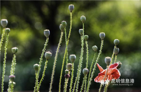 mmexport1582709857861