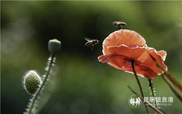 mmexport1582709875394